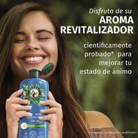 Champú Repara Aceite de Argán 350ml-227382 Champú Repara Aceite de Argán 350ml-227382 1